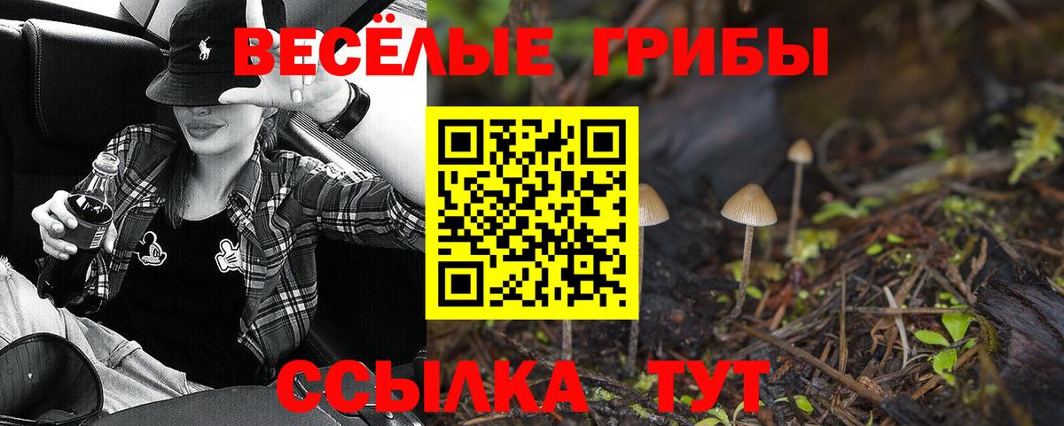 сколько стоит  Вход с VPN  Новочебоксарск  Псилоцибиновые грибы ЛСД 